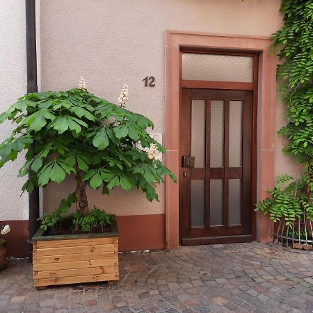 Alte Bahnhofstrasse 12 Apartamento Karlstadt Exterior foto