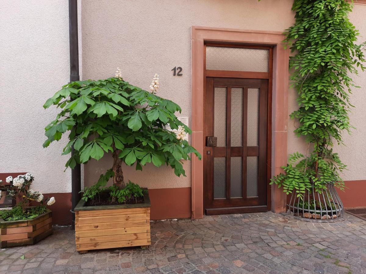 Alte Bahnhofstrasse 12 Apartamento Karlstadt Exterior foto